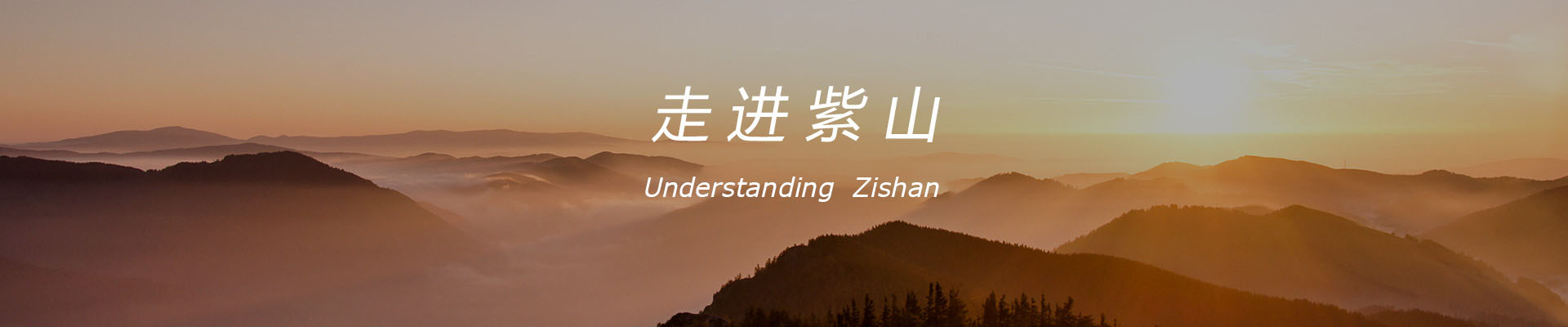 走進(jìn)w66给利老牌